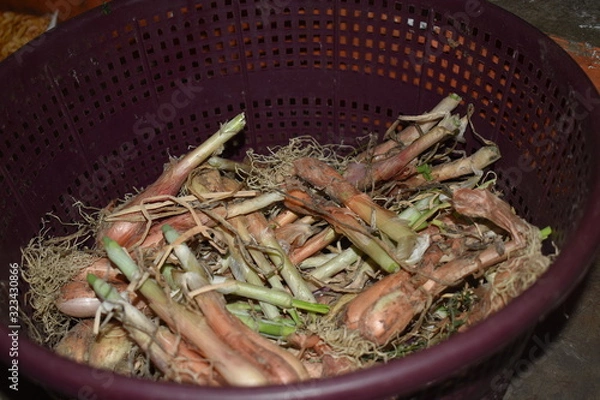 Obraz onions in a bucket