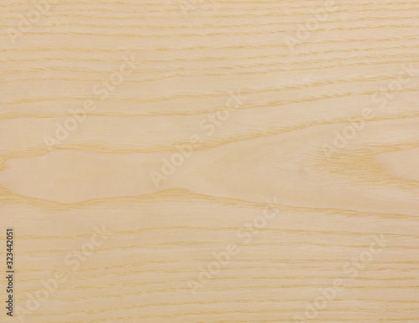 Fototapeta ホワイトアッシュ板目