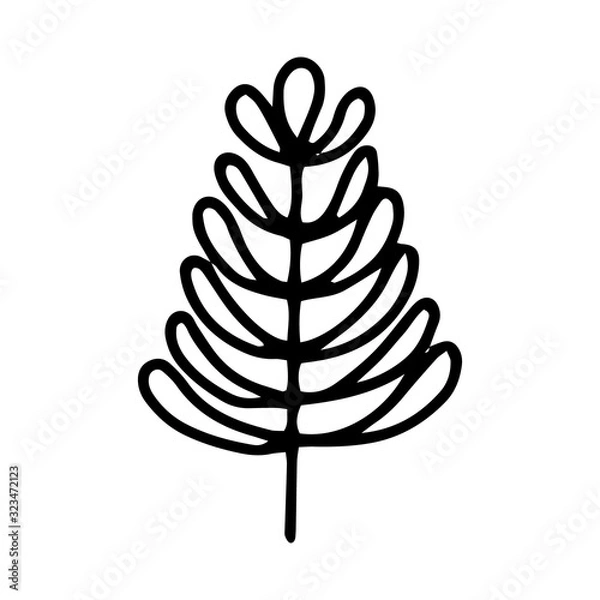 Fototapeta A leaf of a tree or flower is a hand-drawn drawing isolated on a white background.Black and white image.Flora and fauna.Floral design.Doodles.Vector