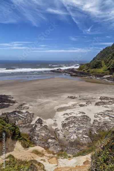 Fototapeta Pacific ocean coastline with washed up driftwood in the foreground. Oregon coast, vertical landscape, calm and tranquility. Travel USA.
