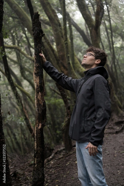 Fototapeta Man traveler in blue raincoat enjoying hiking in the beautiful scary mystic rainforest trees in Anaga national park on Tenerife island, Spain. Rain, fog, silence in old forest