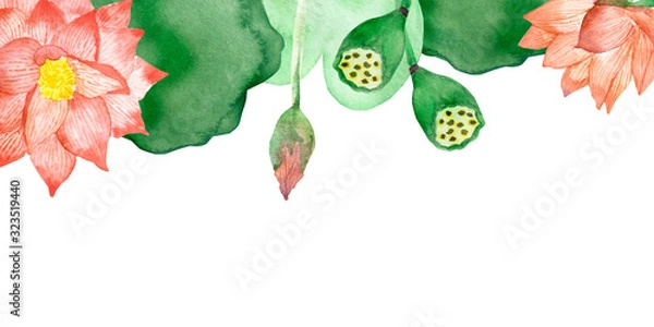 Fototapeta Watercolor hand painted nature floral line banner composition with peach color lotus blossom flowers, buds and green leaves on the white background for invite and greeting card with the space for text