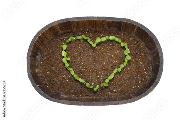 Obraz ハート型の発芽