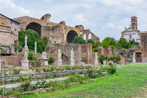 Fototapeta Beautiful scene at the Roman Forum in Rome Italy on a bright summer day