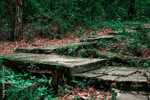 Obraz road in winter forest