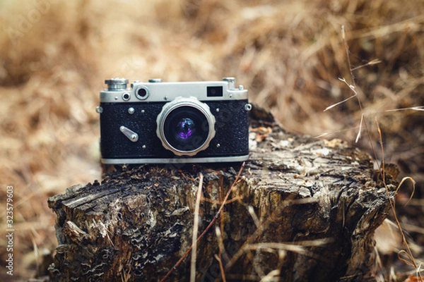 Obraz Vintage camera nature background