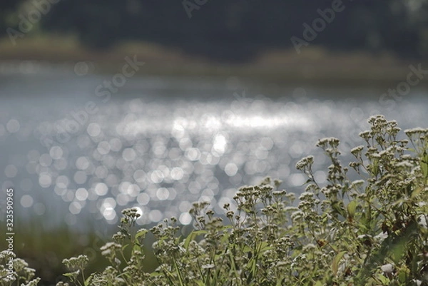 Obraz lake landscape background