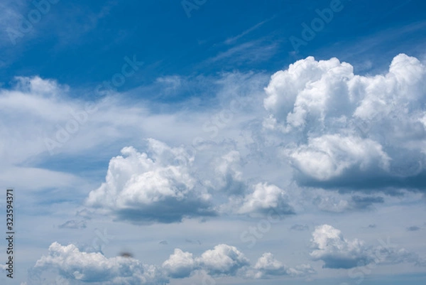 Fototapeta Sky clouds at summer