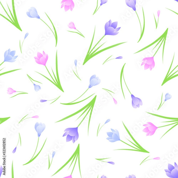 Obraz Elegantseamless pattern with crocus, pink, puple crocus