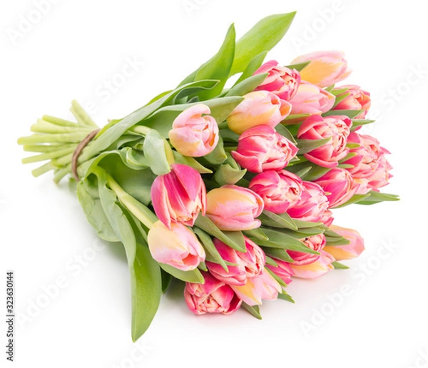 Obraz Fresh spring tulips on white