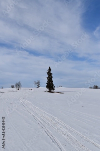 Obraz Kraina śniegu