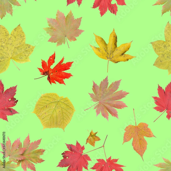 Fototapeta Autumn leaves. Seamless pattern