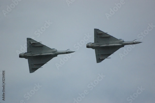 Fototapeta vol binome