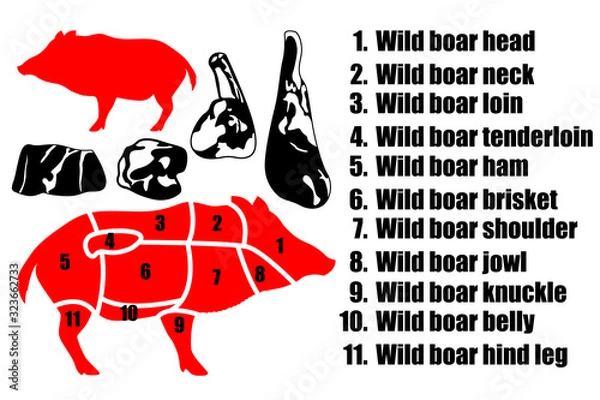 Fototapeta A set of four pieces of pork, the silhouette of a boar and how to carve the carcass. Part of the meat.