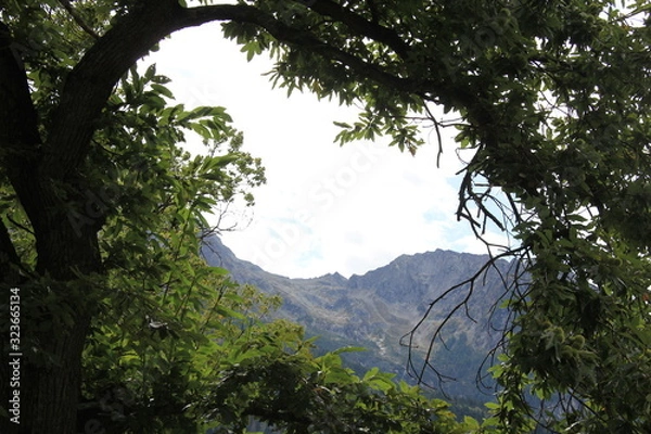 Obraz Ausblick