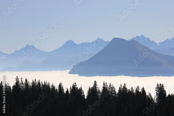 Obraz Nebelmeer