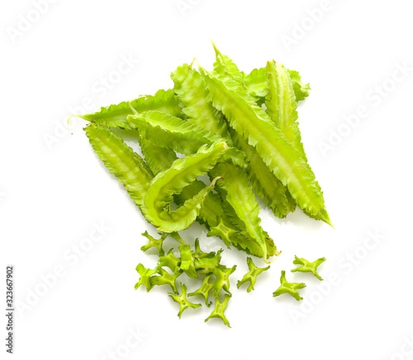 Fototapeta winged bean an isolated on white background