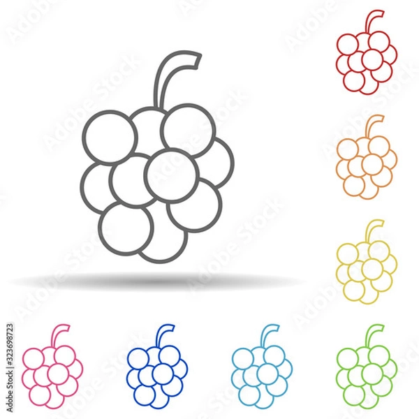 Fototapeta Grapes in multi color style icon. Simple thin line, outline vector of fruit icons for ui and ux, website or mobile application