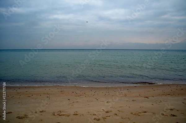 Obraz Baltic beach in november