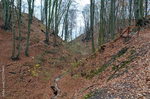 Obraz Baltic beach in november