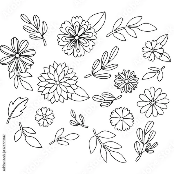 Fototapeta seamless floral pattern