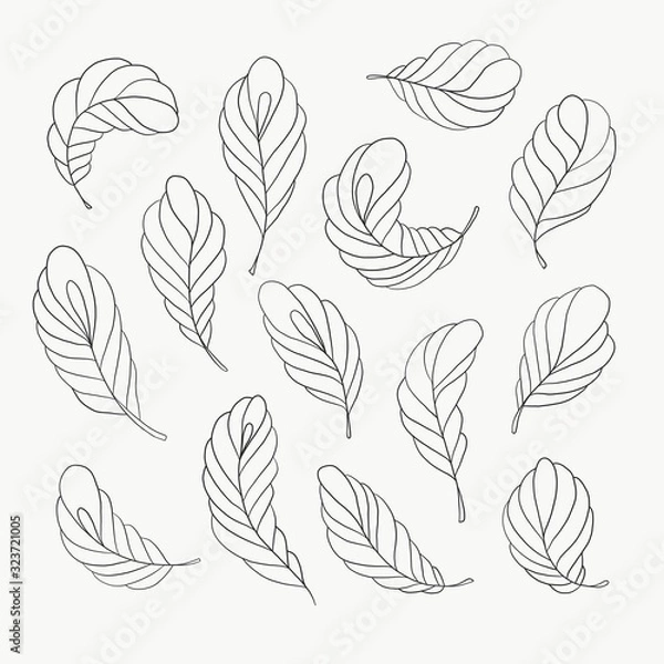 Obraz seamless pattern with leaves
