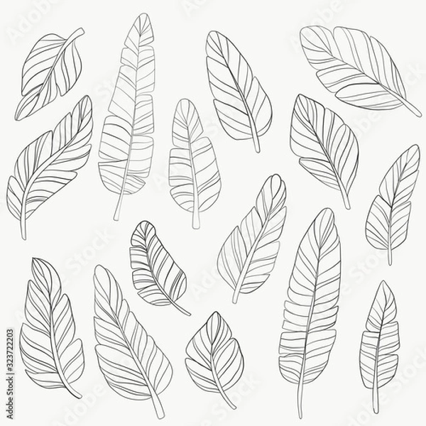Fototapeta seamless pattern with feathers 