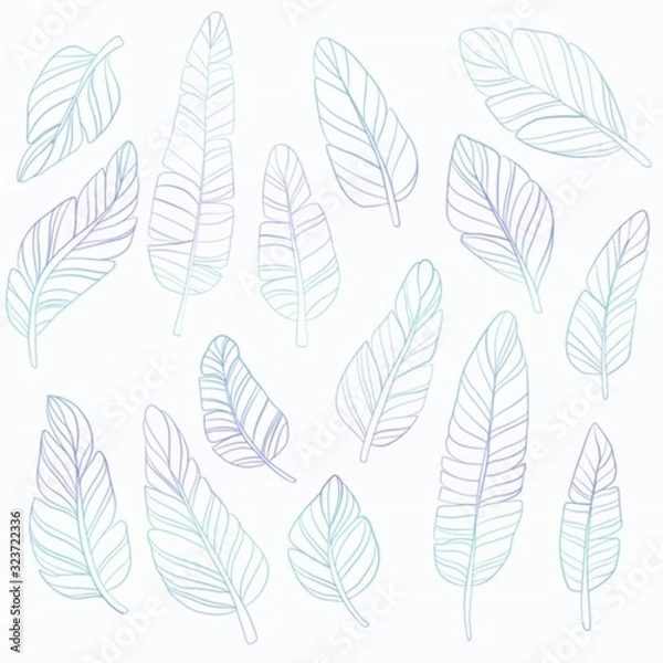 Fototapeta seamless pattern feathers 