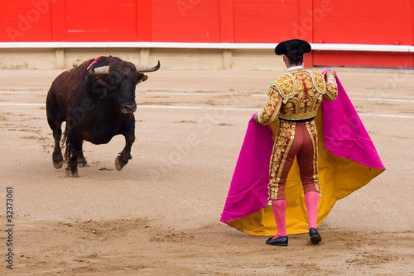 Obraz Bullfighting