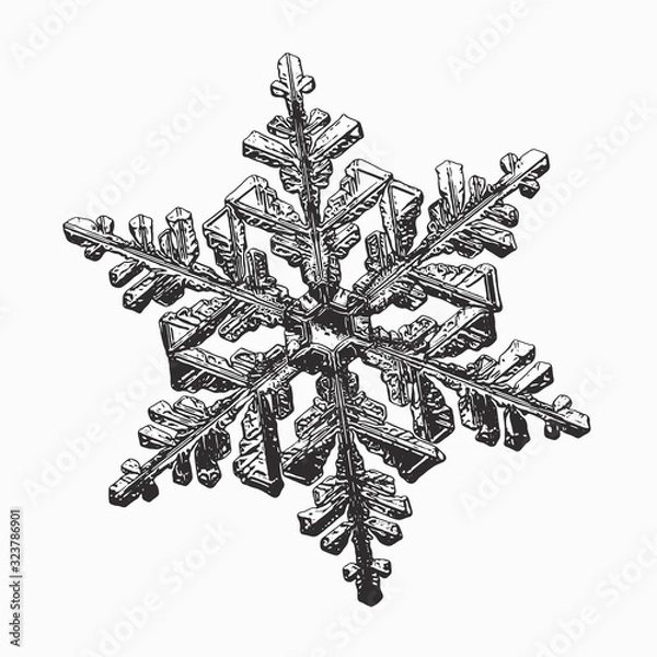 Fototapeta Snowflake isolated on white background. Vector illustration based on macro photo of real snow crystal: complex stellar dendrite with fine hexagonal symmetry, ornate shape and six thin, elegant arms.