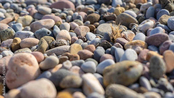 Obraz pea beach textura