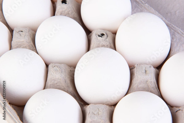 Obraz carton of eggs