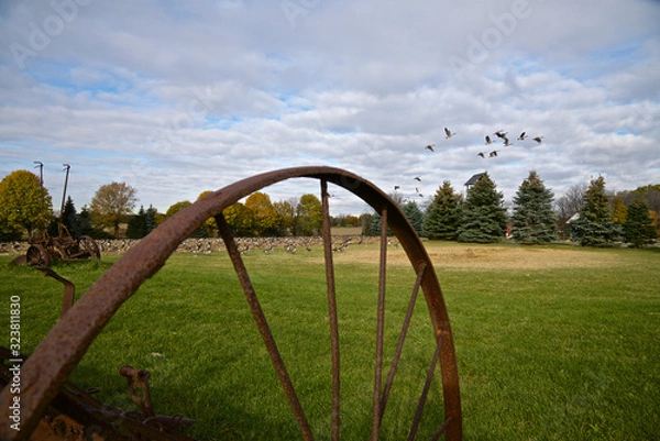Fototapeta old farm machine on the field