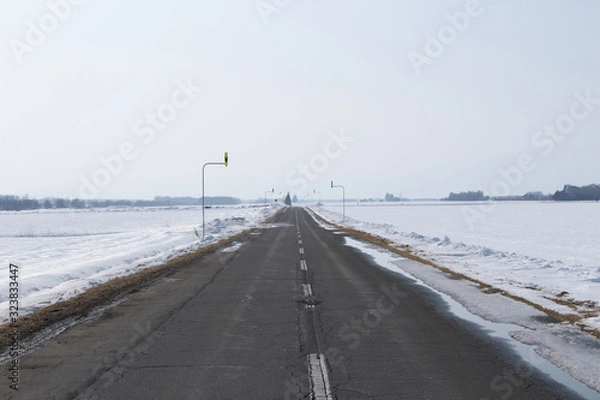 Obraz 北海道のまっすぐな道