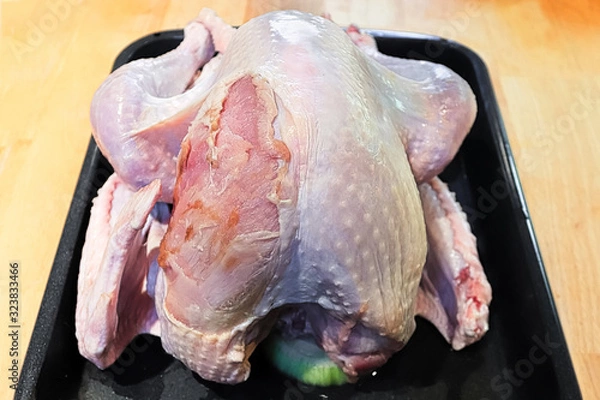 Fototapeta View of a utility turkey with its breast skin damaged