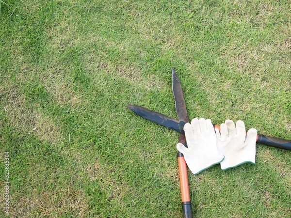 Obraz grass scissors and white glove