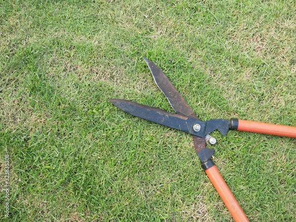 Obraz grass scissors  on grass field background