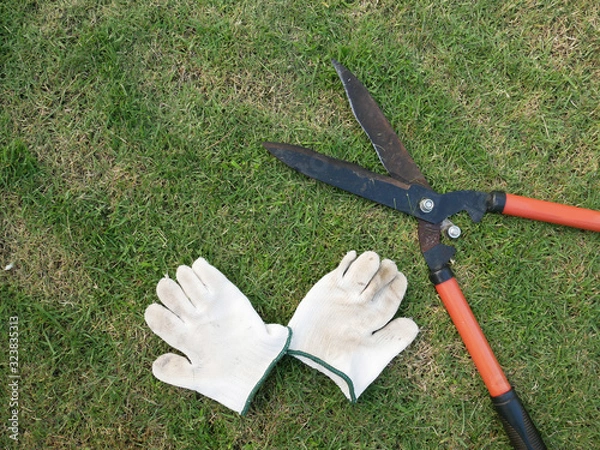 Obraz grass scissors and white glove