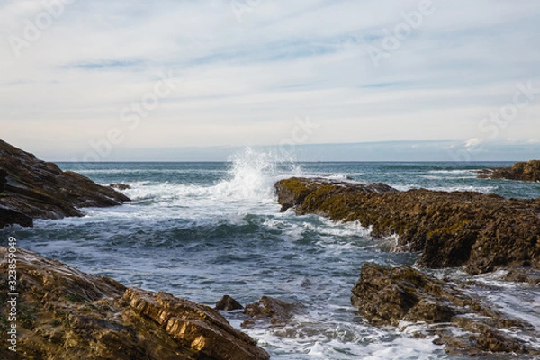 Fototapeta waves crashing on rocks at Montana De Oro State Park, California