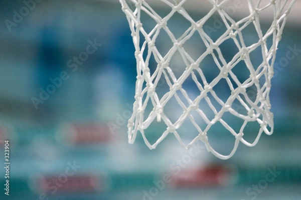 Obraz basketball net