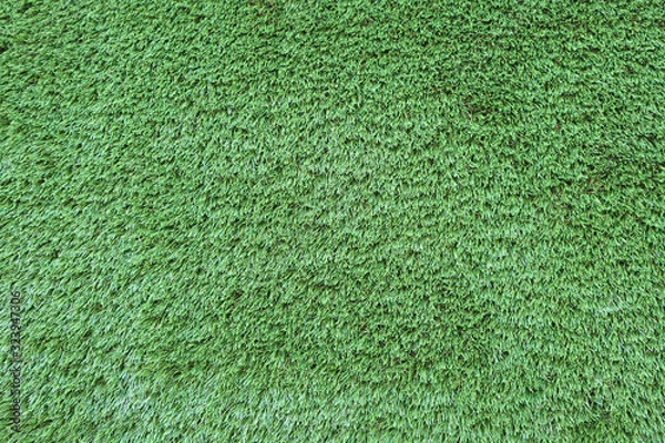 Obraz Surface of a grass field