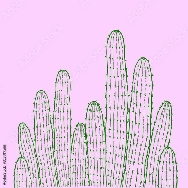 Obraz hand drawn cactus vector illustration