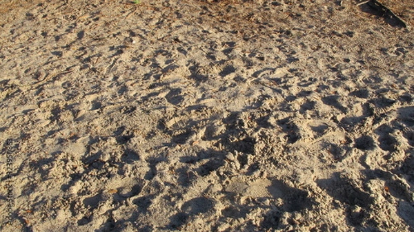 Obraz footprints in the sand