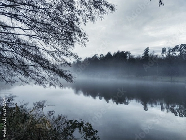 Obraz See im Nebel