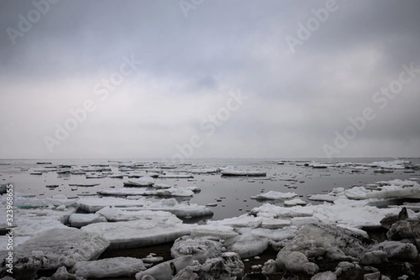 Fototapeta 北海道、網走の流氷