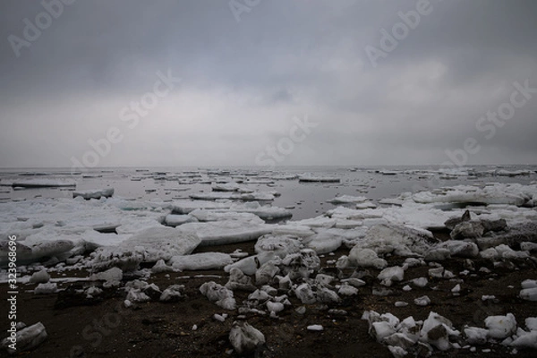 Fototapeta 北海道、網走の流氷