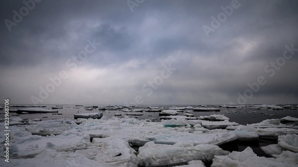 Fototapeta 北海道、網走の流氷