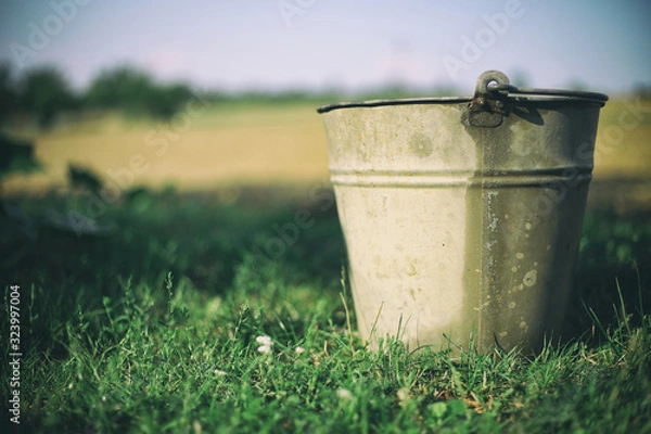 Fototapeta Close up of one rusty iron bucket on grass in the garden. Dirty gray metallic bucket with garbage on barnyard at sunny day. Gardening background. Containers for storing feed, trash, water, paint