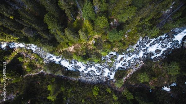 Fototapeta Aerial top down shot of flowing stream river surrounded by high trees in forest, Popradska Pleso,High Tatras, Slovakia