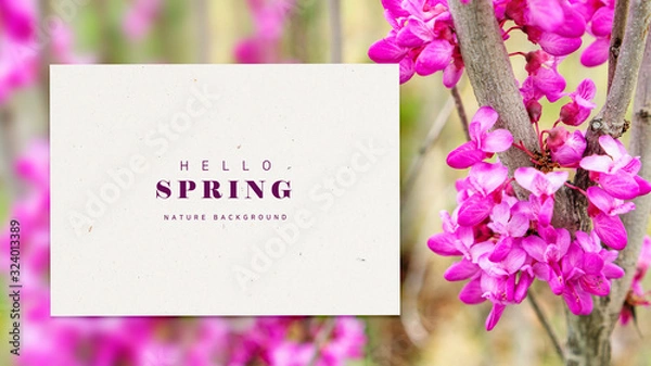 Fototapeta 봄꽃 배경 